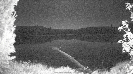 Image from 2024-10-16