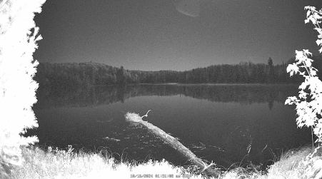 Image from 2024-10-16