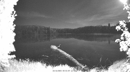 Image from 2024-10-16