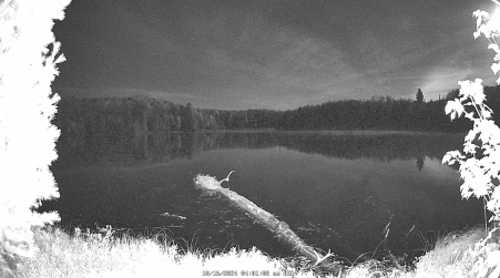 Image from 2024-10-16