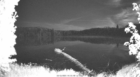 Image from 2024-10-16