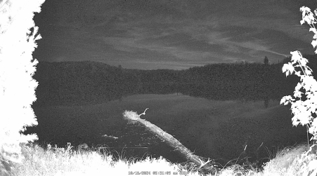 Image from 2024-10-16