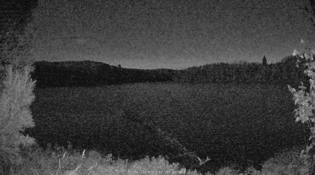 Image from 2024-10-16