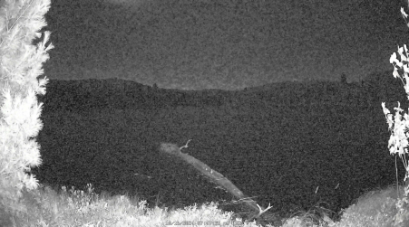 Image from 2024-10-16