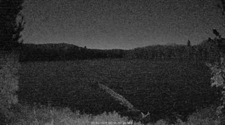 Image from 2024-10-16