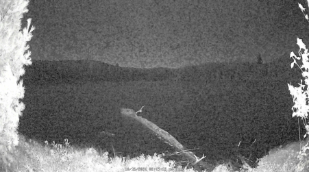 Image from 2024-10-16