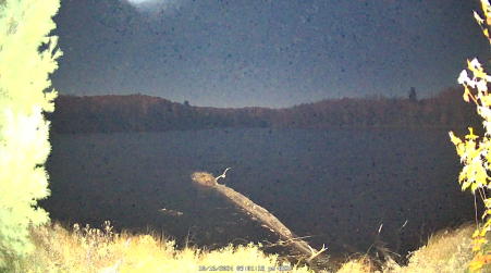 Image from 2024-10-16