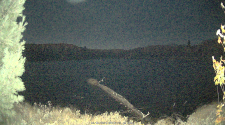 Image from 2024-10-16