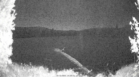 Image from 2024-10-16