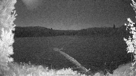 Image from 2024-10-16