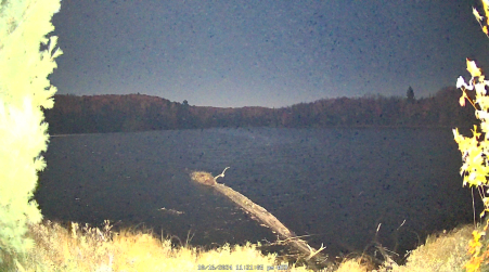 Image from 2024-10-16