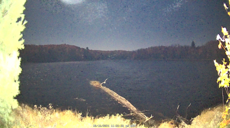 Image from 2024-10-16