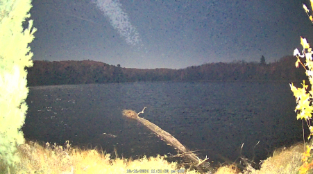 Image from 2024-10-16
