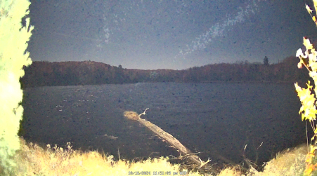 Image from 2024-10-16