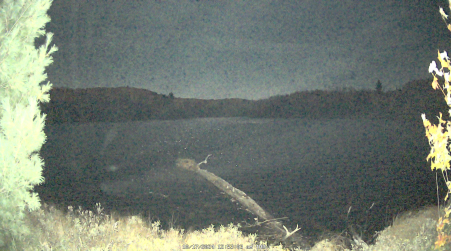 Image from 2024-10-17