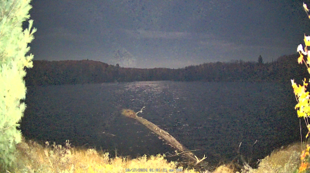 Image from 2024-10-17