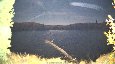 Image from 2024-10-17