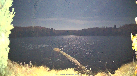 Image from 2024-10-17