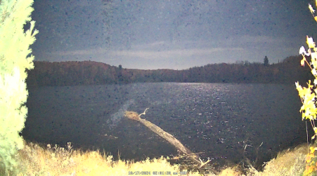 Image from 2024-10-17