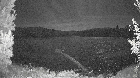 Image from 2024-10-17