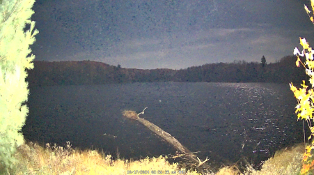 Image from 2024-10-17