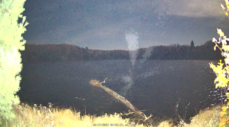 Image from 2024-10-17