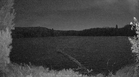 Image from 2024-10-17
