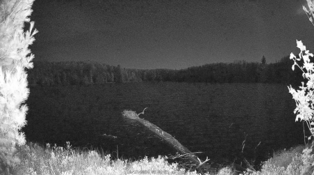 Image from 2024-10-17
