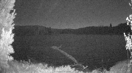 Image from 2024-10-17