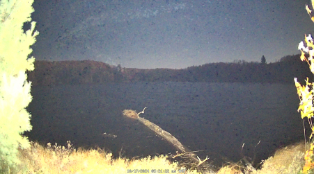 Image from 2024-10-17