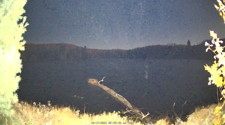 Image from 2024-10-17