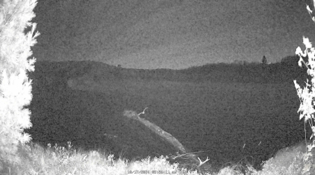 Image from 2024-10-17