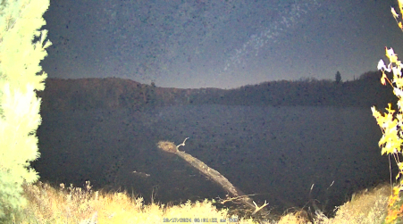 Image from 2024-10-17