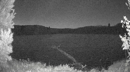 Image from 2024-10-17