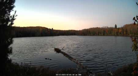 Image from 2024-10-17