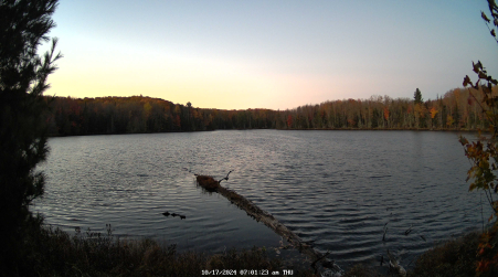 Image from 2024-10-17