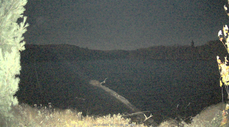Image from 2024-10-17