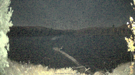 Image from 2024-10-17