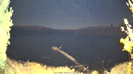 Image from 2024-10-17