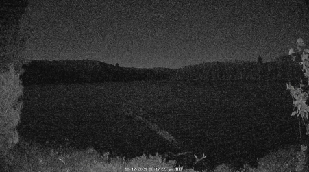 Image from 2024-10-17