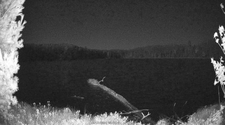 Image from 2024-10-17