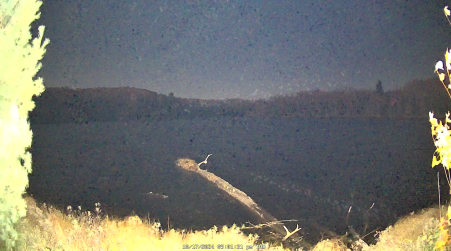 Image from 2024-10-17