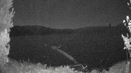 Image from 2024-10-17