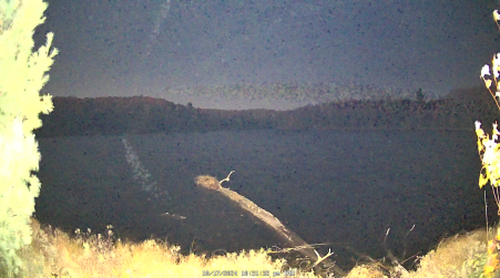 Image from 2024-10-17