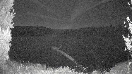 Image from 2024-10-17
