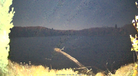 Image from 2024-10-17