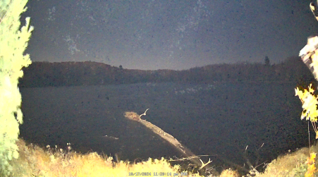 Image from 2024-10-17