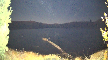 Image from 2024-10-18