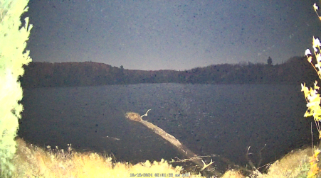 Image from 2024-10-18