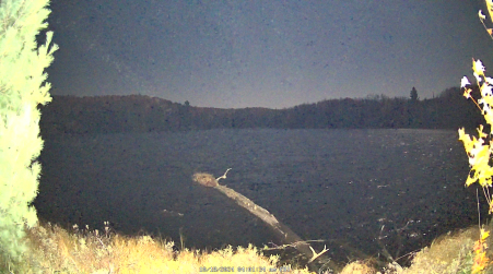 Image from 2024-10-18